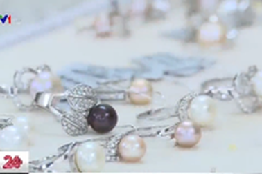 Khám phá nghề nuôi trai tại Côn Đảo