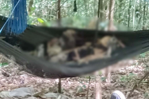 Phát hiện 2 bộ xương khô nằm trên võng giữa rừng