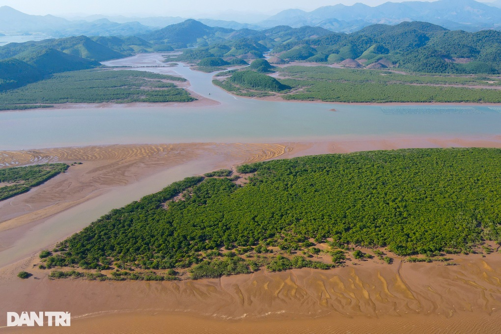 Lướt sóng, chiêm ngưỡng Mũi Lòng Vàng độc đáo giữa biển khơi ở Quảng Ninh - 1 Lướt sóng, chiêm ngưỡng Mũi Lòng Vàng độc đáo giữa biển khơi ở Quảng Ninh - 1