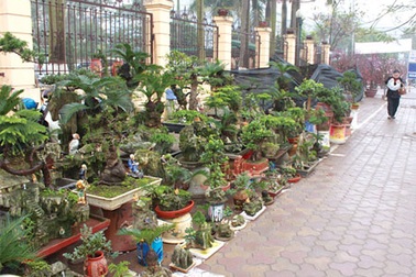 Hà Nội: Đón Tết với nhiều kiểu tiết kiệm