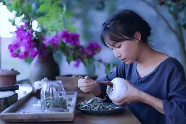 Tranh cãi về lý do khiến "tiên nữ đồng quê" Lý Tử Thất ngừng ra video