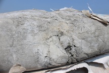 Nhà thầu dừng thi công, hàng chục tấn xi măng đông cứng giữa đồng