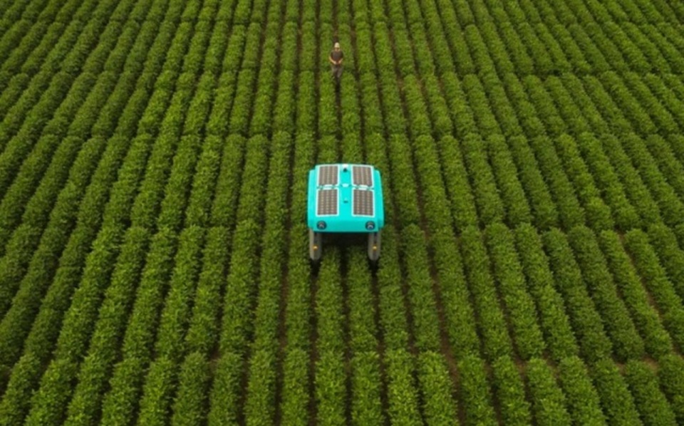 Ngỡ ngàng với khả năng của robot nông nghiệp do Google phát triển - 1 Ngỡ ngàng với khả năng của robot nông nghiệp do Google phát triển - 1
