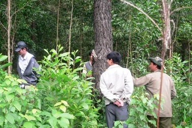 Cận cảnh nơi bò lạ tấn công người