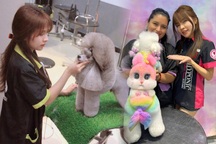 Cô gái Hà Nội biến lông chó mèo thành tranh 3D, kiếm tiền triệu mỗi ngày