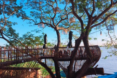 Quán cà phê được "xây" trên cây cổ thụ, "độc nhất vô nhị" ở miền Tây