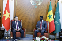 Chủ tịch Quốc hội: Đẩy nhanh đàm phán các hiệp định nền tảng Việt Nam - Senegal