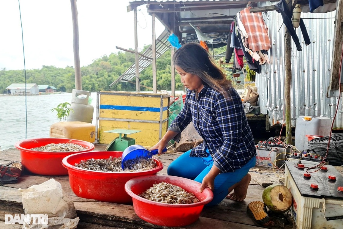 Ước mơ lên bờ của làng chài ngụ cư gần một thập kỷ trên lòng hồ thủy điện - 2 Ước mơ lên bờ của làng chài ngụ cư gần một thập kỷ trên lòng hồ thủy điện - 2