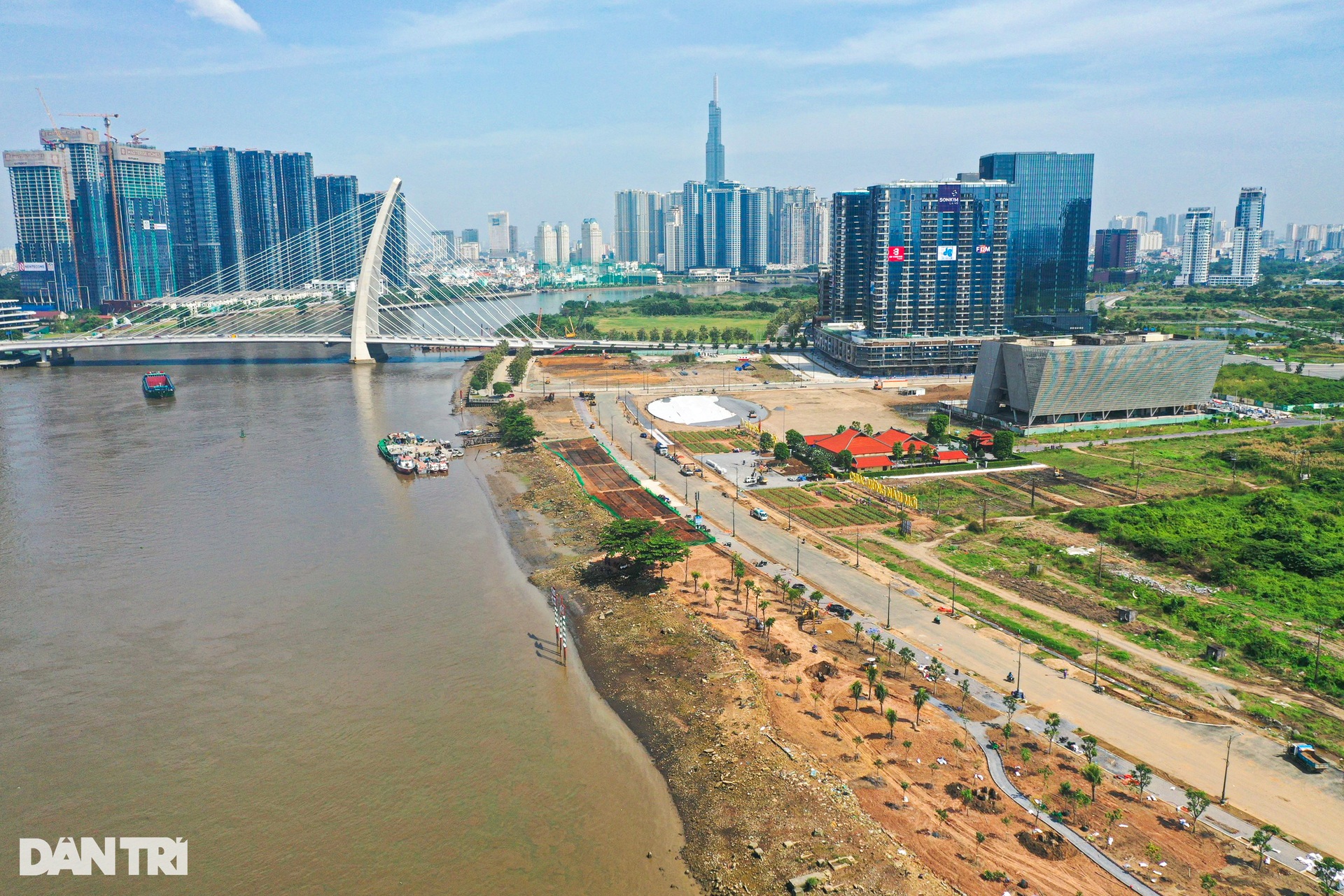 Tất bật trồng 15.000 cây hướng dương ở bờ sông Sài Gòn - 12 Tất bật trồng 15.000 cây hướng dương ở bờ sông Sài Gòn - 12