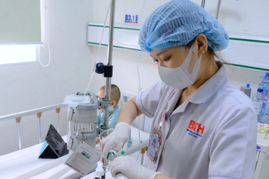 Việt Nam đang đứng ở đâu trong bản đồ ghép tế bào gốc thế giới?