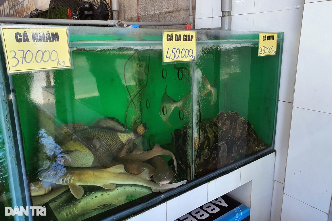 22 người ăn hải sản hết 42 triệu đồng: Các quán nói giá quá chát - 4 22 người ăn hải sản hết 42 triệu đồng: Các quán nói giá quá chát - 4