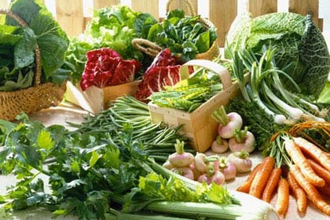 Những gợi ý phòng gan nhiễm mỡ ngày Tết!