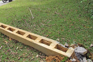 Voi dữ “tái xuất” quật gãy nhiều cột điện 