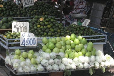 Đến lượt ổi miền Tây chờ "giải cứu" 