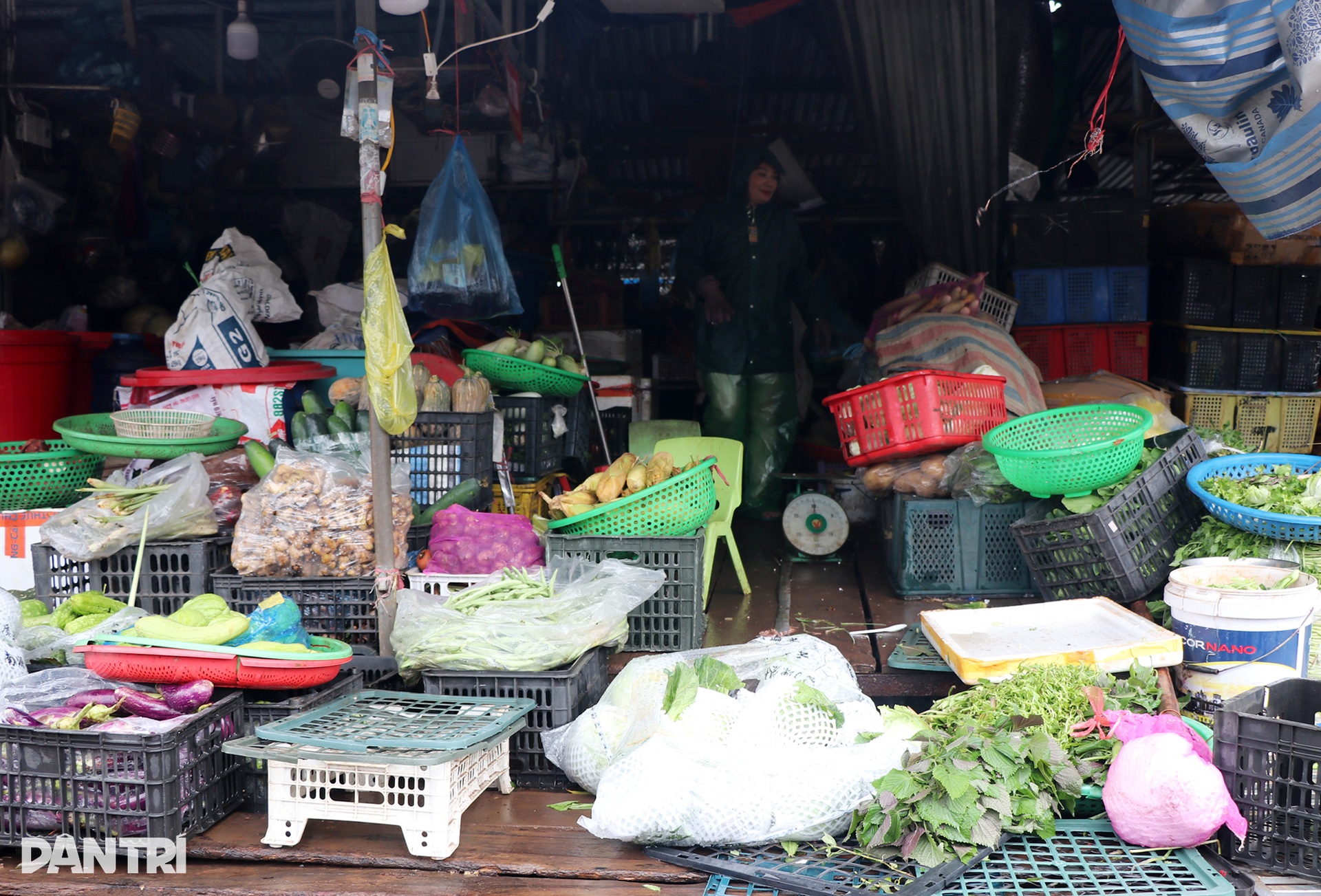 Tiểu thương chợ lớn nhất Nghệ An dầm mình trong nước nhặt từng cọng rau - 8 Tiểu thương chợ lớn nhất Nghệ An dầm mình trong nước nhặt từng cọng rau - 8