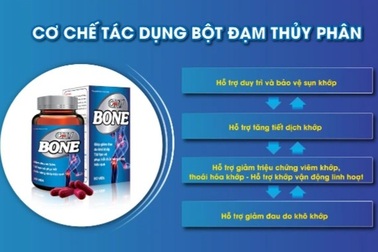 Trải nghiệm miễn phí ngay 500 hộp Viên khớp GHV Bone dịp Lễ Vu Lan báo hiếu