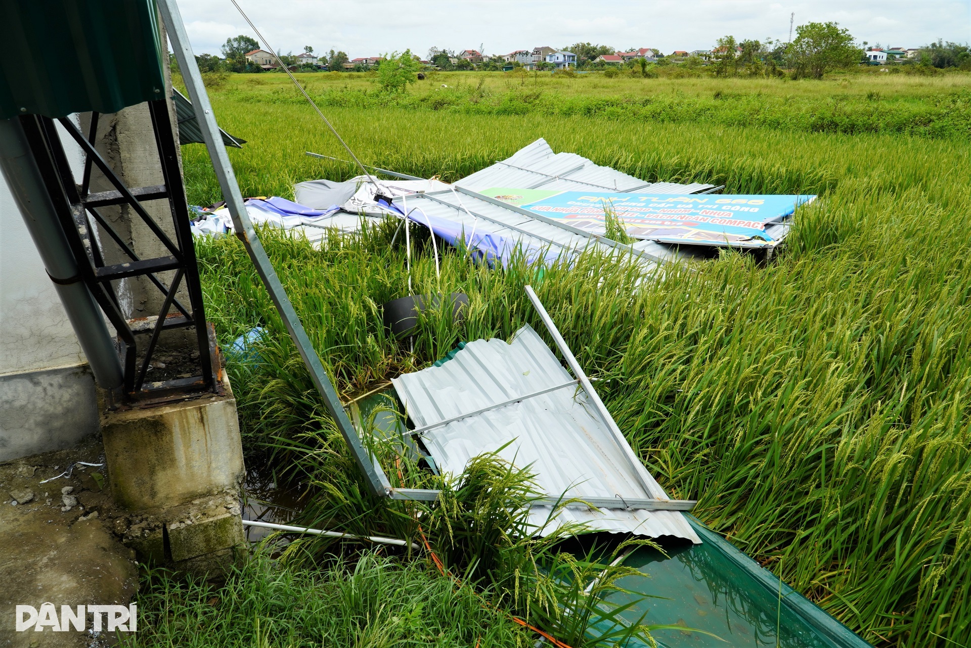 Nhiều sân Pickleball hư hỏng, đổ sập do bão Kajiki - 5 Nhiều sân Pickleball hư hỏng, đổ sập do bão Kajiki - 5