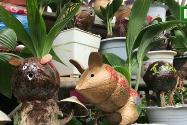 "Hóa phép" dừa xiêm thành ông Tý bán 500 ngàn đồng mỗi trái