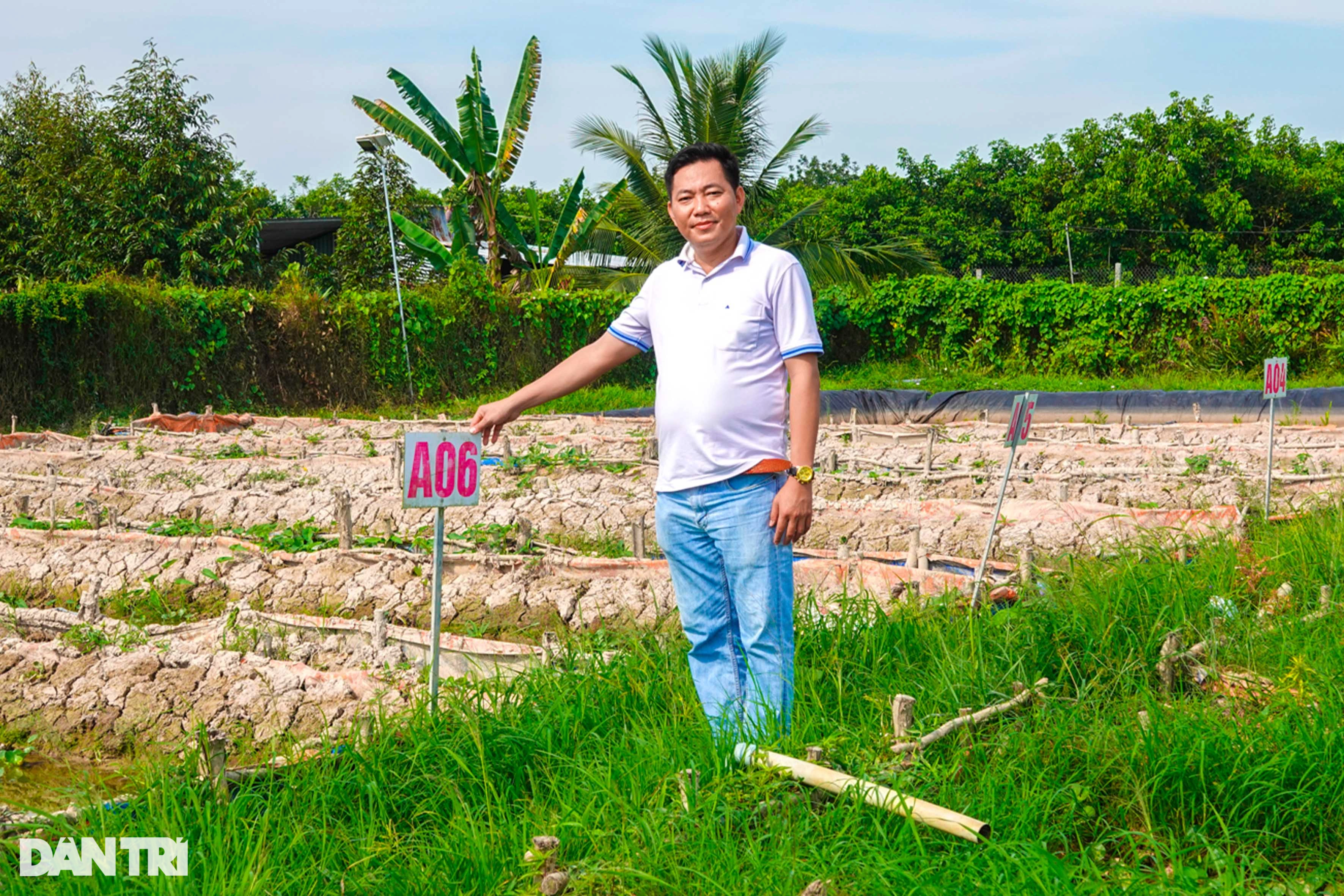 Cái kết bất ngờ của giám đốc bỏ việc lương nghìn đô về quê nuôi lươn - 1 Cái kết bất ngờ của giám đốc bỏ việc lương nghìn đô về quê nuôi lươn - 1