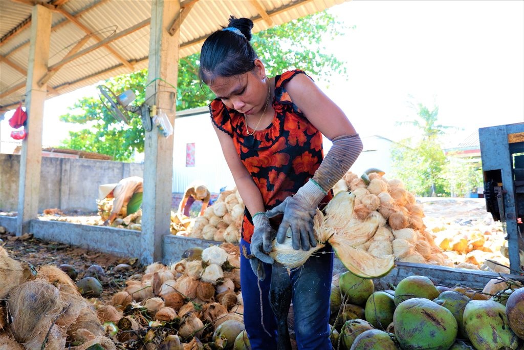 Về Bến Tre xem phụ nữ lột vỏ dừa nhanh... như máy - 2