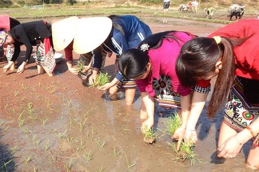 Khắp nơi cầu may trong Lễ hội Lồng Tồng