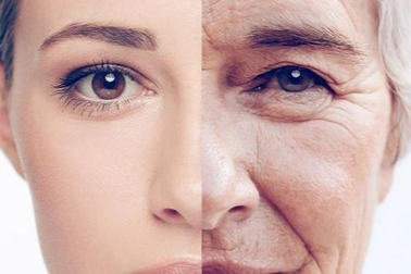 Tìm ra giống loài "trẻ mãi không già" bằng cách chiến thắng lão hóa