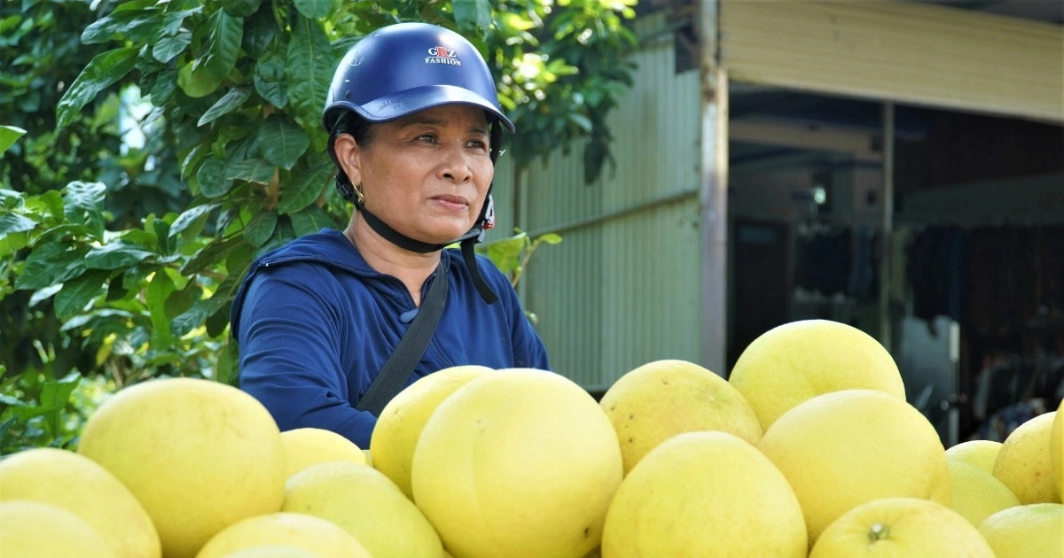 Phiên chợ có một không hai, chỉ bán đệ nhất danh quả - 7