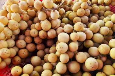 Đặc sản "tiến vua" vào mùa giúp nông dân đếm tiền đều tay