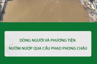 Dòng người và phương tiện nườm nượp qua cầu phao Phong Châu
