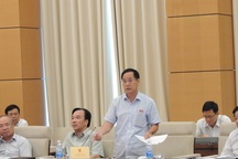 Cán bộ nói “nhiều tiền do bán chổi, nuôi heo” là coi thường dân!