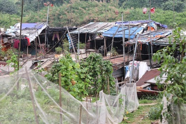 Những phận người “mắc cạn” trên sông Hồng