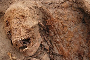 Phát hiện cuộc hiến tế trẻ em lớn nhất từng biết đến ở Peru