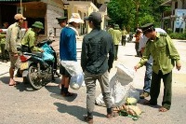 Giả danh khách du lịch vào rừng mua gỗ sưa