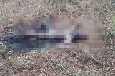 Người đàn ông chết cháy, nghi tự thiêu sau vườn nhà