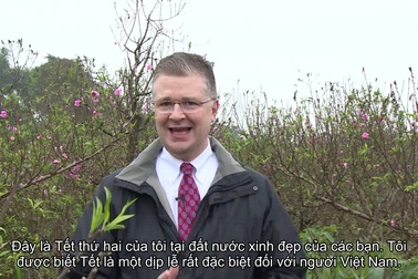 Đại sứ Mỹ đích thân xuống vườn, chọn đào chơi Tết