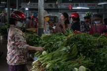 Sau mưa lũ, cầm 100.000 đồng đi chợ mua được mỗi mớ cải xanh, rau thơm