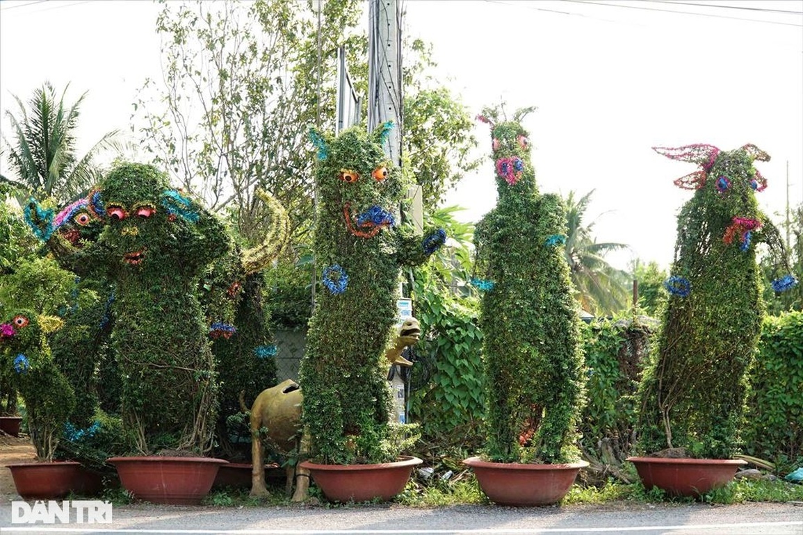 Nông dân hô biến quất cảnh thành linh vật chưng Tết, không đủ hàng để bán - 4 Nông dân hô biến quất cảnh thành linh vật chưng Tết, không đủ hàng để bán - 4