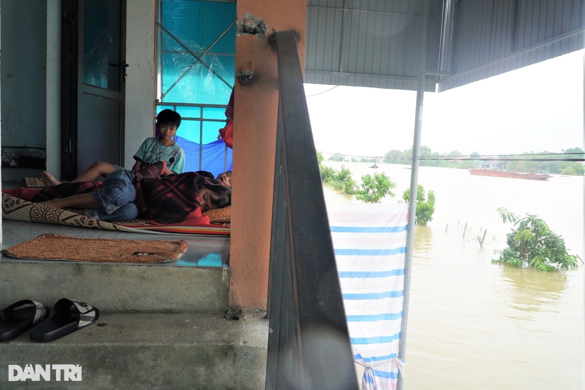 Xóm vạn chài thoát cảnh kéo nhau lên bờ tránh lũ sông Lam - 5 Xóm vạn chài thoát cảnh kéo nhau lên bờ tránh lũ sông Lam - 5