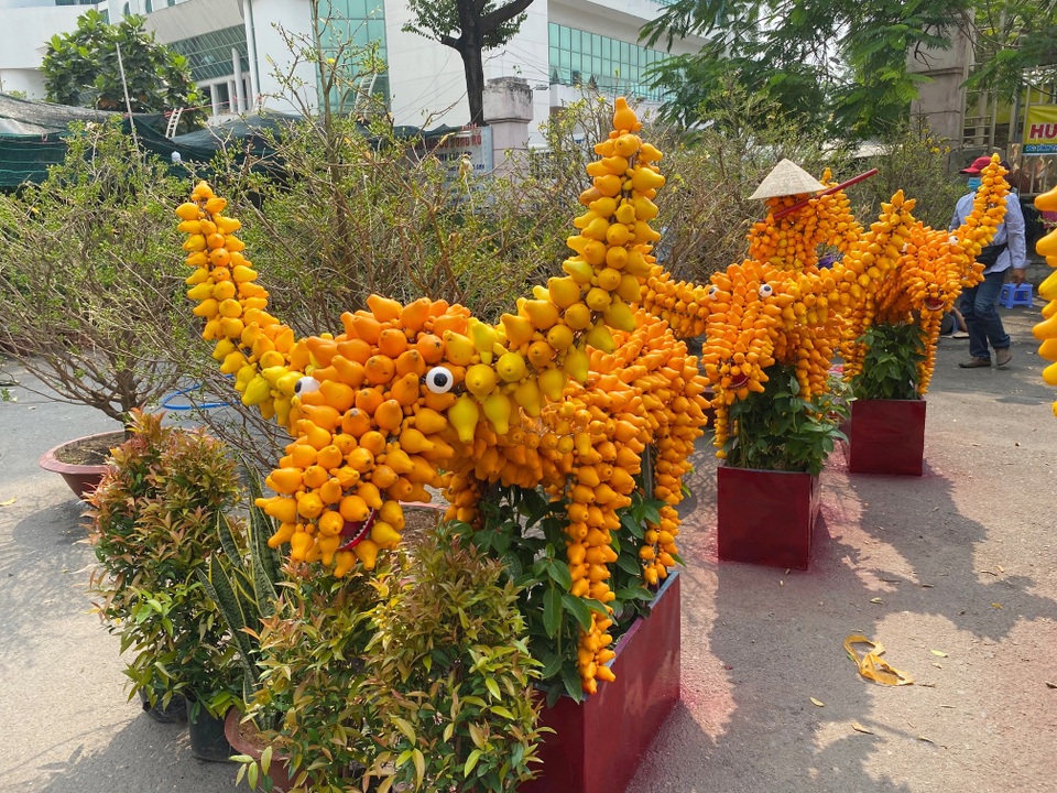 Trâu kiểng độc lạ vài chục triệu đồng; buôn mai, đào buồn chưa từng thấy - 2 Trâu kiểng độc lạ vài chục triệu đồng; buôn mai, đào buồn chưa từng thấy - 2