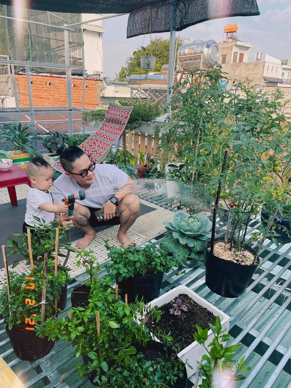 Chàng trai Sài Gòn biến mái nhà bếp thành vườn xanh mát tặng mẹ - 7