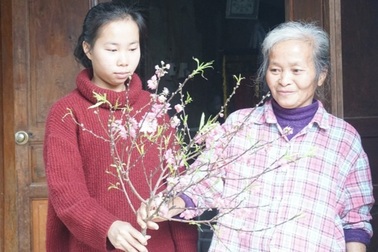 Học bổng "Trái tim Sư tử" 1 tỷ đồng dành cho học sinh có hoàn cảnh khó khăn
