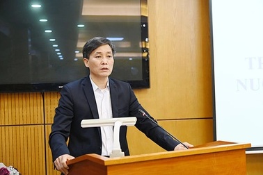 Cha mẹ nước ngoài nhận trẻ em Việt làm con nuôi đã tạo tiếng vang lớn