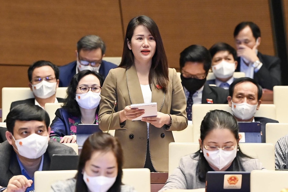 ĐBQH Vương Thị Hương: Chất vấn Thủ tướng, tôi không tránh khỏi sự hồi hộp - 1 ĐBQH Vương Thị Hương: Chất vấn Thủ tướng, tôi không tránh khỏi sự hồi hộp - 1