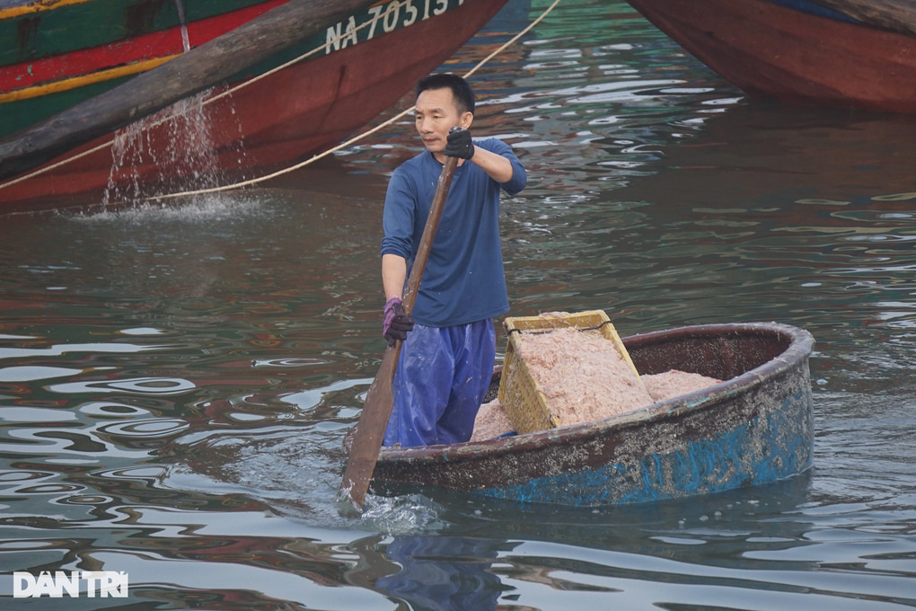 Đi một đêm, ngư dân Nghệ An thu về hàng chục triệu đồng - 4 Đi một đêm, ngư dân Nghệ An thu về hàng chục triệu đồng - 4