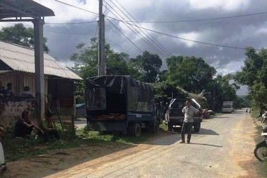 Vây bắt lâm tặc, 3 cán bộ kiểm lâm bị đánh trọng thương