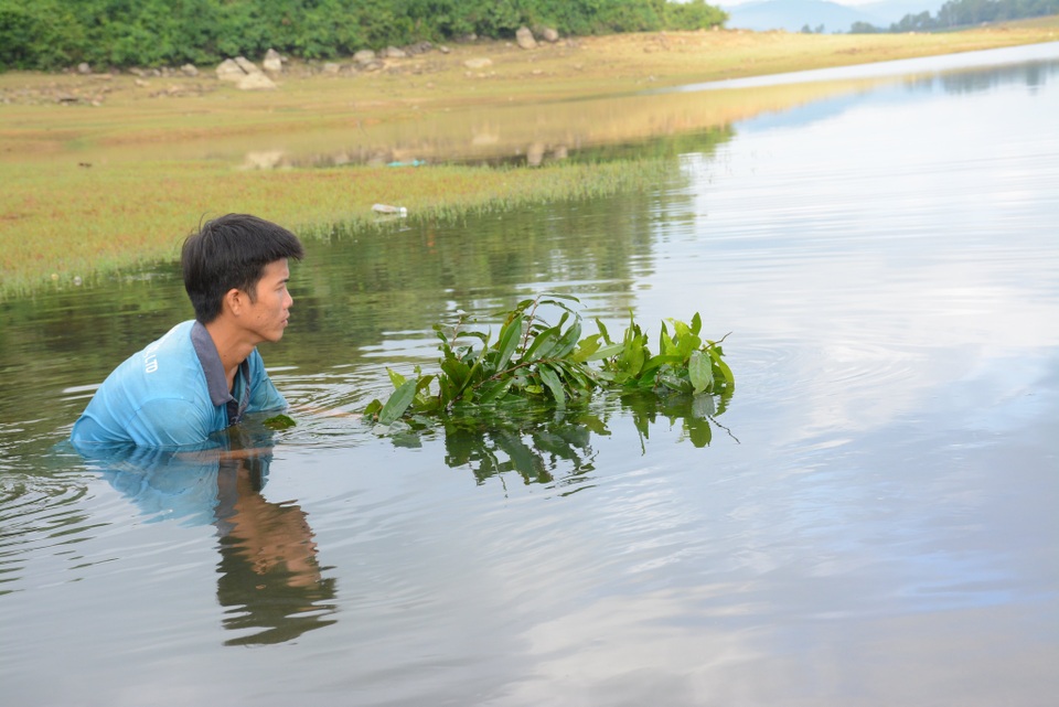 Quảng Nam: Kiếm tiền từ cách bắt tép độc chiêu ở hồ Phú Ninh - 3 Quảng Nam: Kiếm tiền từ cách bắt tép độc chiêu ở hồ Phú Ninh - 3