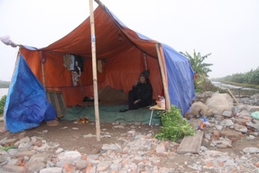 Đề nghị kháng nghị theo thủ tục tái thẩm vụ án thu hồi đất tại Tiên Lãng