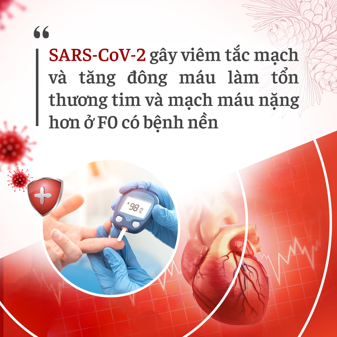 Những điều cần biết khi là F0 có bệnh tim mạch, đái tháo đường - 1 Những điều cần biết khi là F0 có bệnh tim mạch, đái tháo đường - 1