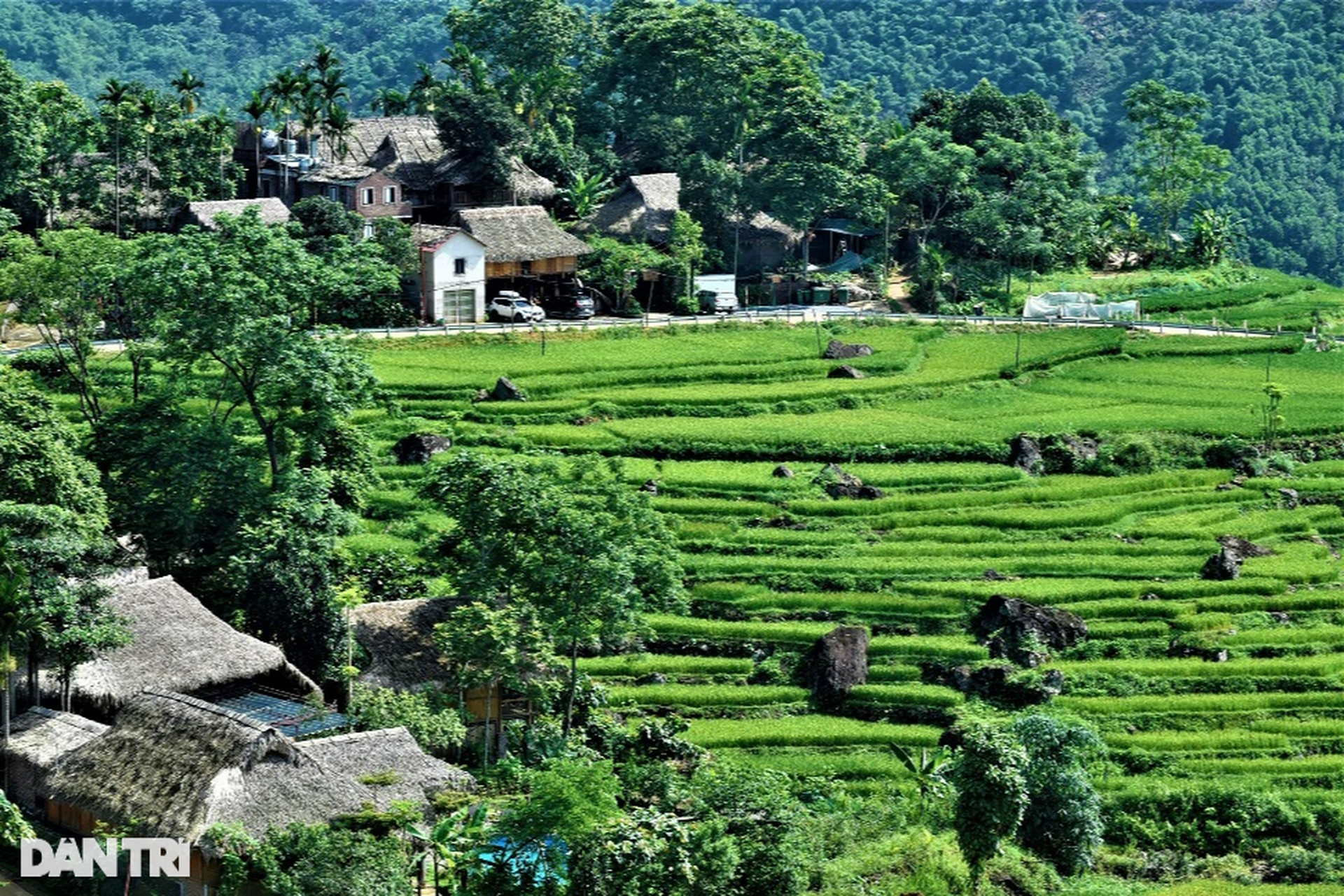 Vẻ đẹp hút hồn ở Pù Luông nơi được mệnh danh là thiên đường giữa đại ngàn - 5