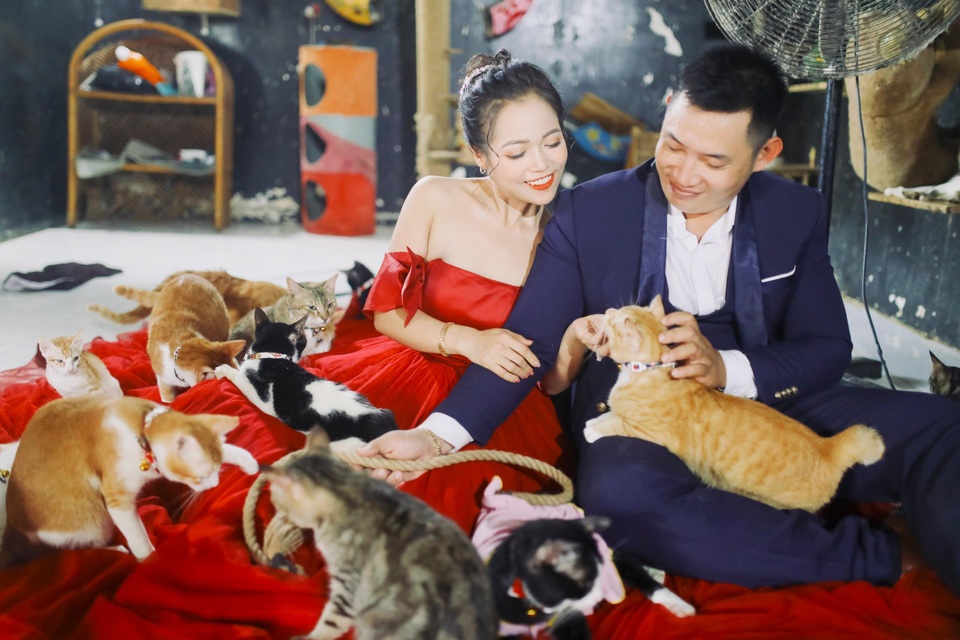 Cặp đôi chụp ảnh cưới độc đáo cùng dàn chó mèo cưng xỉu - 4 Cặp đôi chụp ảnh cưới độc đáo cùng dàn chó mèo cưng xỉu - 4
